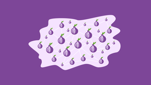 image from Tor Blog | The Tor Project