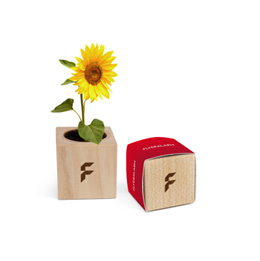 image from Druck – ProxyStore