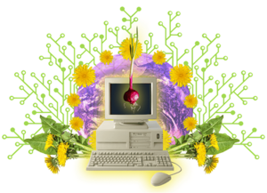 image from Tor Project | Anonymity Online