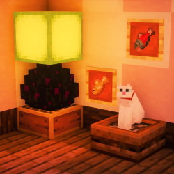 image from RAINCHAN