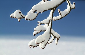 image from Majestic Bank