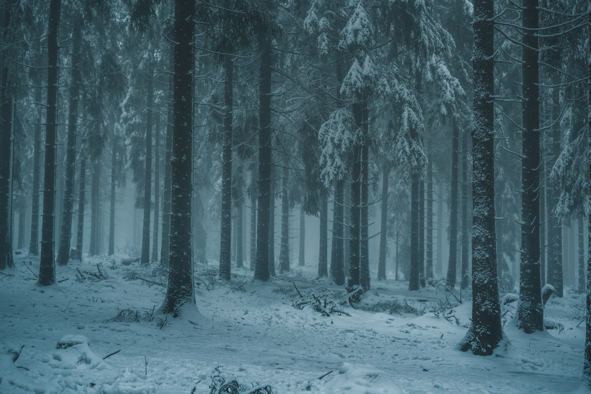 image from DarkForest