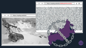 image from Tor Blog | The Tor Project