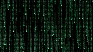 image from Welcome to THE MATRIX!