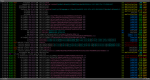 image from Home - Spyware Watchdog