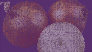 image from Tor Blog | The Tor Project