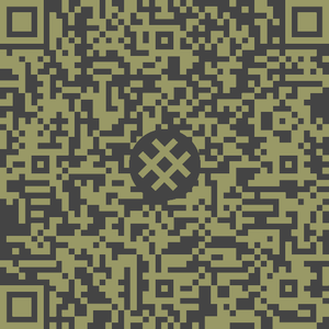 SimpleX QR code