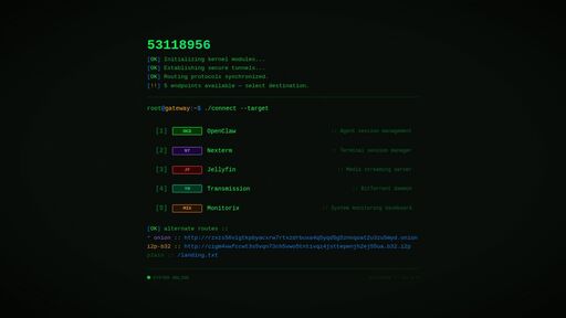 screenshot of 53118956 :: TERMINAL - http://rzxzs56vigtkpbyacxrw7rtxzdrbuxa4q5yqd5g5znnqoat2u3zu5myd.onion