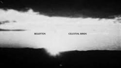 screenshot of Begotten - zw5a5notialf6g2q7vd2vrc32vvezyqtehhfyzrtkbzl2laq2iw4vfqd.onion