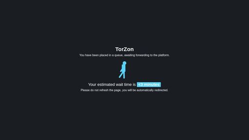 screenshot of DDOS protection - torzon4kvfeber6t4a2lsnk7utfneyx6kvebum5xmzevstl3nco4l6yd.onion