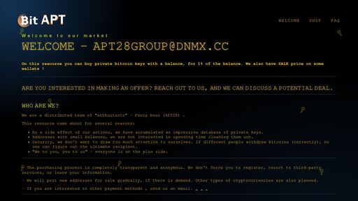 screenshot of Fancy Bear APT28  | Bitcoin Private Keys - eleciptjjylfpyia5euu3bouuwct34znpqh5xh4lgutdgcrg3aazy2id.onion