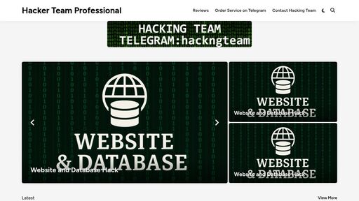 screenshot of Hacker Team Professional - 45y464aesz3bgroomwcabfneivhnmywx5cuuk73n6i3rxec7u2nmvsyd.onion