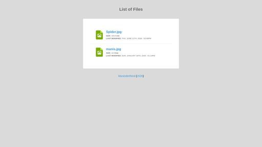 screenshot of List of Files - gubsli4dkkofclggavgwcge5sxii4r44wmfianb6kmb6oujwlltgrbad.onion