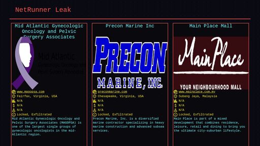 screenshot of NetRunner Leak - netrunnlekx5rsfc7l3k3wbczr5m7rbdlgmf6aeyvgo5rsakki6ljjqd.onion