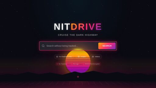 screenshot of Privacy Policy | NitDrive - http://nitdrivex4loptw7z5cn77q4qk7wbhollbfwfkerl6rnpnlm2breefyd.onion/privacy