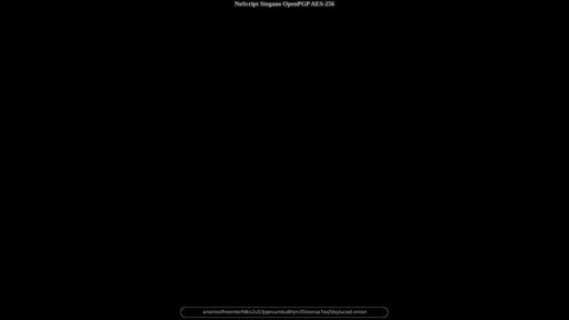 screenshot of NoScript Stegano  OpenPGP AES-256 - privatffphhnjcgzakg22obvvic6gpoihge2slnpr5cr6coegr4ju5id.onion