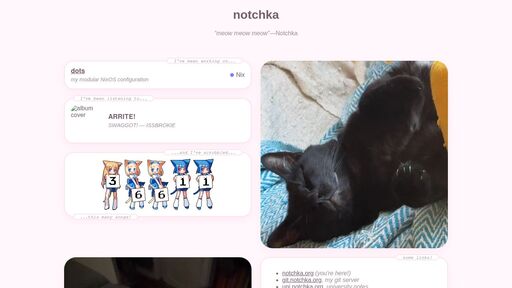 screenshot of notchka - h7a2imd4dw6yb7vctwcpalruu346ms5h2lkfcyc2nfeknzrcecu7bjqd.onion