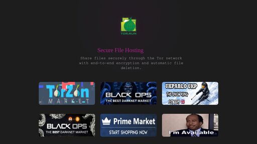 screenshot of Secure File Hosting - Tor.run - tordrun2t4pf3qlu2ikl3qkastzhif6lqg223fw7kge7z4ul5aqglgad.onion