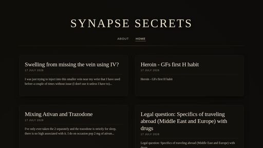 screenshot of Synapse Secrets - iglluzogigufbaqyh5jmhy3laoh37x4dgdhtdr4avplbljtylazjhsid.onion