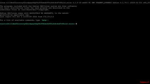 screenshot of Terminal | tilldea52uocnrzy62zcdgrprkhp56u554nmoh455u3nktdcd7vfhcid.onion - http://tilldea52uocnrzy62zcdgrprkhp56u554nmoh455u3nktdcd7vfhcid.onion