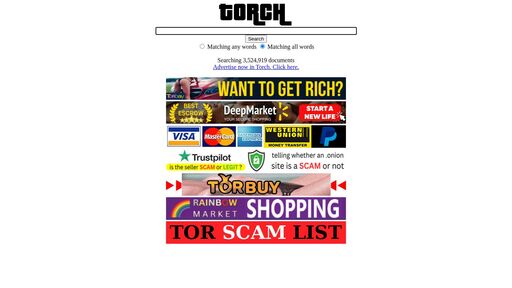 screenshot of Payment Details - http://torchac4wwv4sd3qt73xjxvz6wxiande4mhsvbhi4icsui7lgwh4kbqd.onion/pay.htm