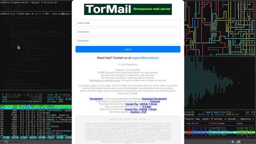 screenshot of TORMAIL - http://tormailt3jjpm7naq5nkuqqdpmaspzif4vnjjtmqbejsc7ahi4gj2wad.onion